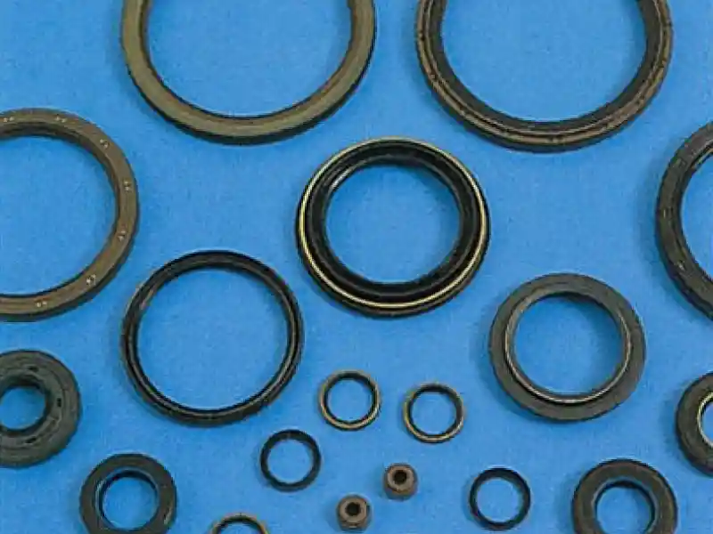 CAC, Corteco, Oil Seal, Asian